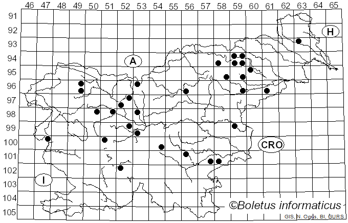 <i>Macrocystidia</i> Joss. (1934)
