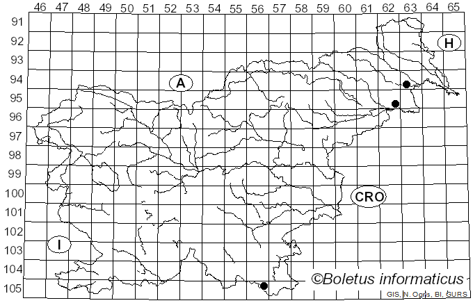 <i>Amanita alseides</i> Hanss (2020)