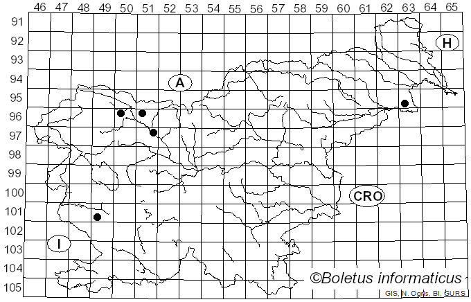 <i>Byssocorticium</i> Bondartsev & Singer (1944)