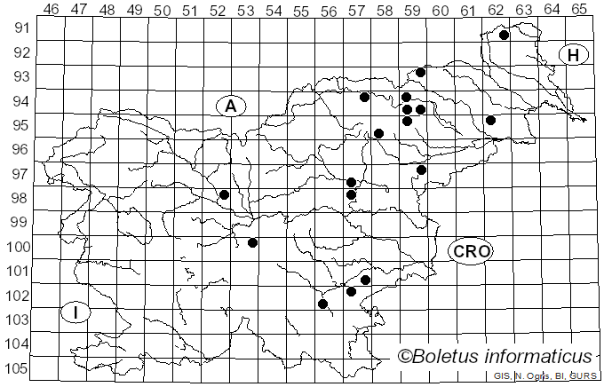 <i>Russula laeta</i> Jul. Schäff. (1952)