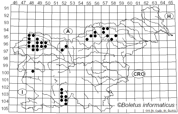 <i>Usnea filipendula</i> Stirt. (1881)
