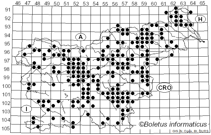 <i>Craterellus cornucopioides</i> (L.) Pers. (1825)