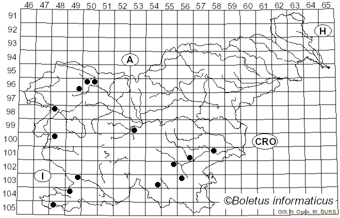 <i>Radulomyces</i> M.P. Christ. (1960)