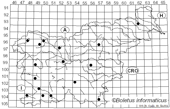 <i>Cinereomyces lindbladii</i> (Berk.) Jülich (1982)