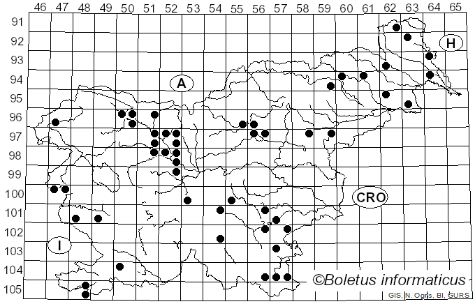 <i>Fomitiporia</i> Murrill (1907)