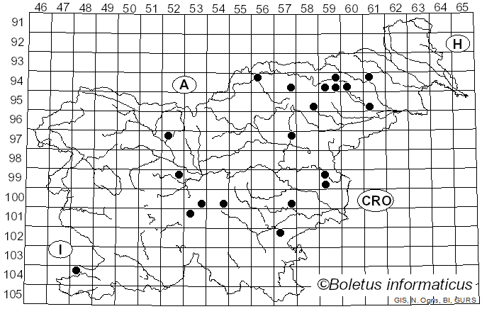 <i>Cortinarius decipiens</i> (Pers.) Fr. (1838)