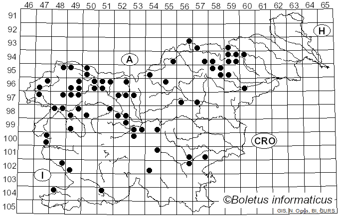 <i>Lactarius porniniae</i> Rolland (1889)