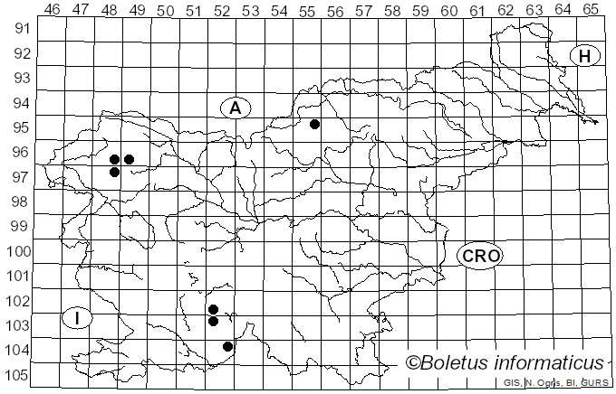 <i>Lepraria jackii</i> Tønsberg (1992)