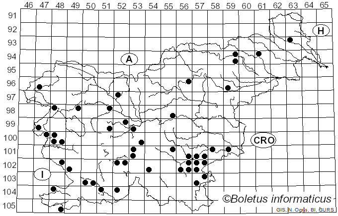 <i>Calonarius rufo-olivaceus</i> (Pers.) Niskanen & Liimat. (2022)
