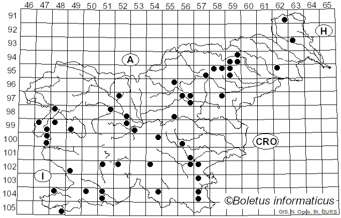 <i>Lactarius controversus</i> (Pers.) Fr. (1799)