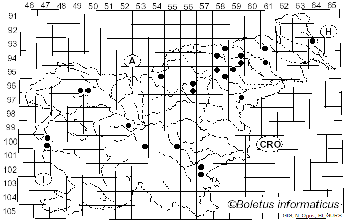 <i>Inocybe mixtilis</i> (Britzelm.) Sacc. (1887)