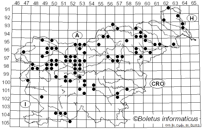 <i>Neolentinus lepideus</i> (Fr.) Redhead & Ginns (1985)