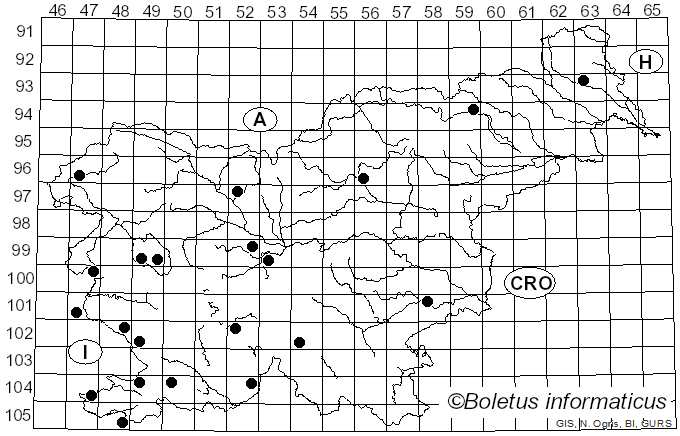 <i>Tricholoma batschii</i> Gulden (1969)