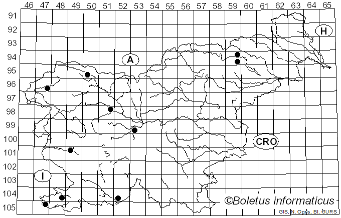 <i>Cyclocybe</i> Velen. (1939)