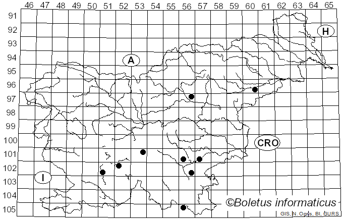 <i>Hydnoporia</i> Murrill (1907)