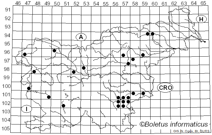 <i>Entoloma sepium</i> (Noulet & Dass.) Richon & Roze (1880)