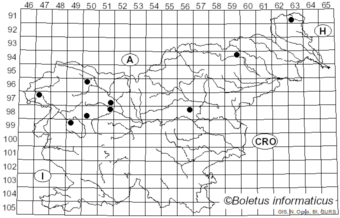 <i>Porpolomopsis</i> Bresinsky (2008)