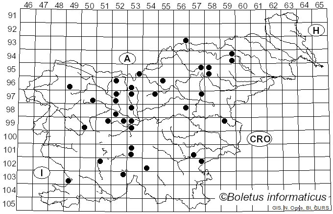 <i>Panaeolus semiovatus</i> (Sowerby) S. Lundell & Nannf. (1938)