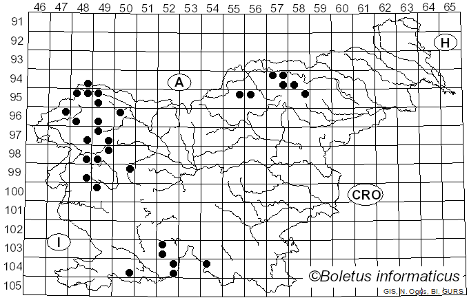 <i>Buellia disciformis</i> (Fr.) Mudd (1861)