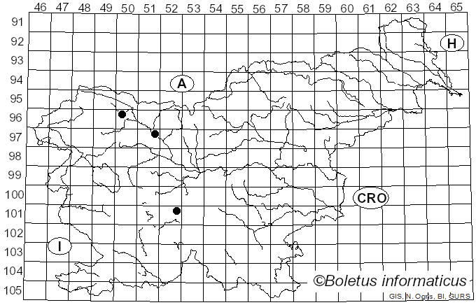 <i>Clitopilus caelatus</i> (Fr.) Vila & Contu (2009)
