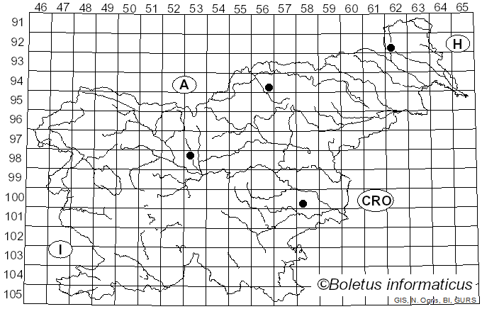 <i>Cribraria aurantiaca</i> Schrad. (1797)