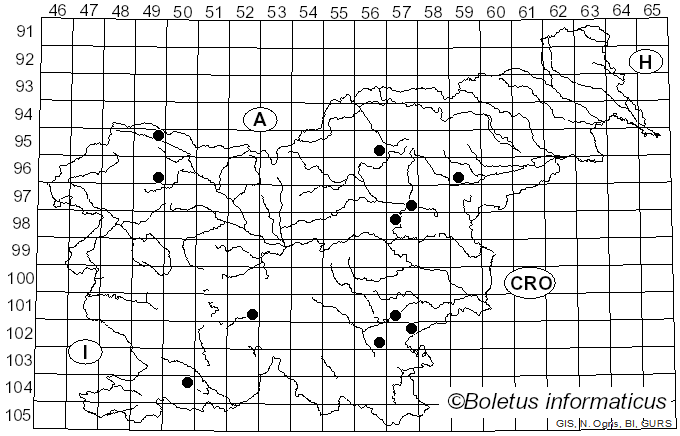 <i>Panaeolus cinctulus</i> (Bolton) Britzelm. (1887)