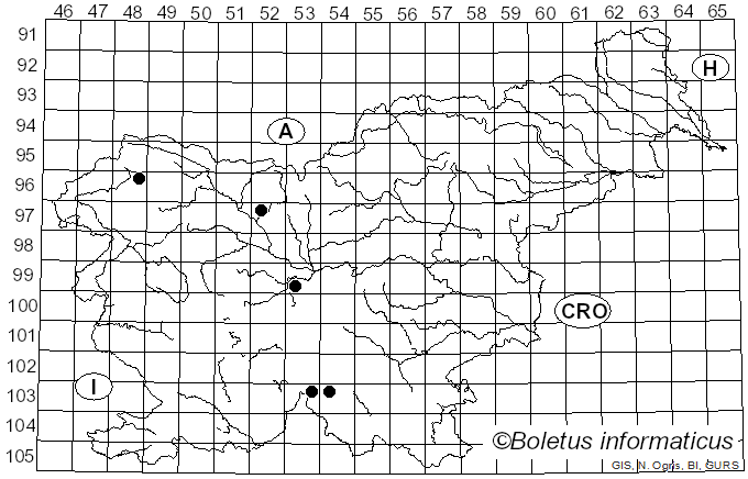 <i>Thaxterogaster rufoallutus</i> (Rob. Henry ex Bidaud & Reumaux) Niskanen & Liimat. (2022)