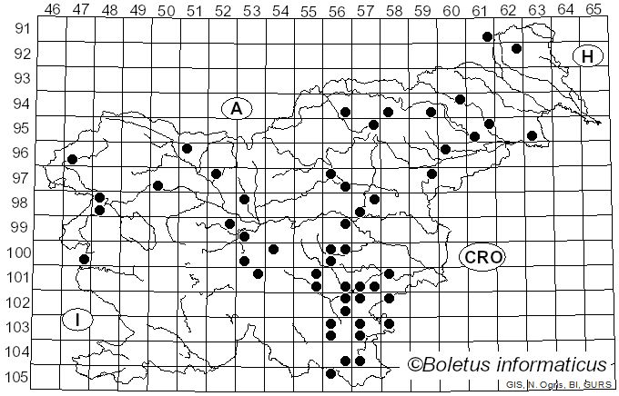 <i>Stereum ochraceoflavum</i> (Schwein.) Fr.