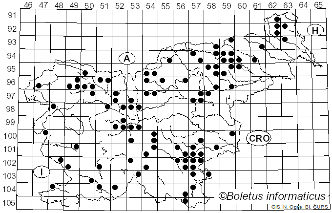 <i>Chroogomphus helveticus</i> (Singer) M.M. Moser (1967)