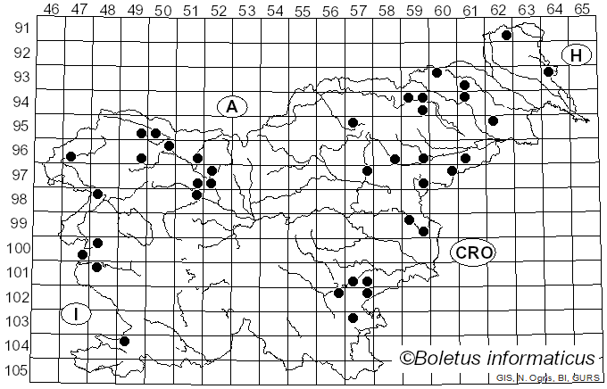 <i>Parasola conopilea</i> (Fr.) Örstadius & E. Larss. (2008)