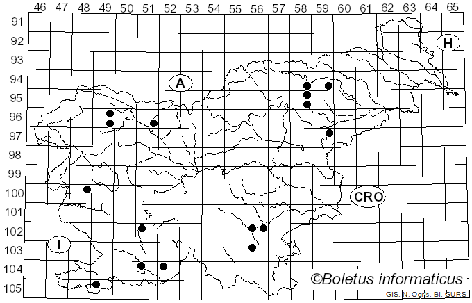 <i>Caloscypha</i> Boud. (1885)