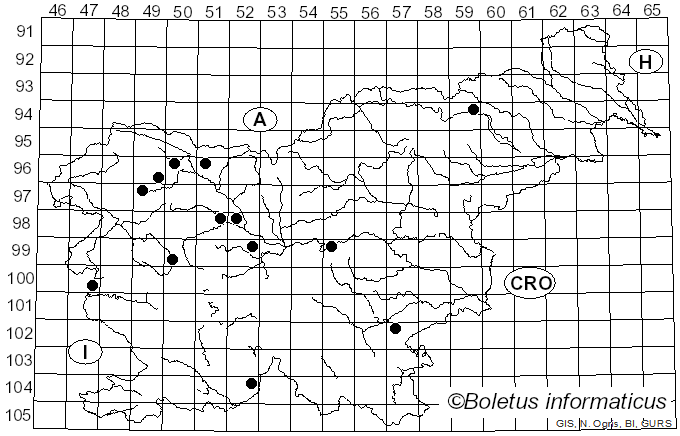 <i>Roridomyces roridus</i> (Scop.) Rexer (1994)