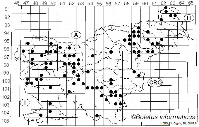 <i>Calycina citrina</i> (Hedw.) Gray (1821)