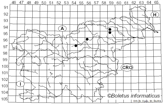 <i>Piceomphale</i> Svrcek (1957)