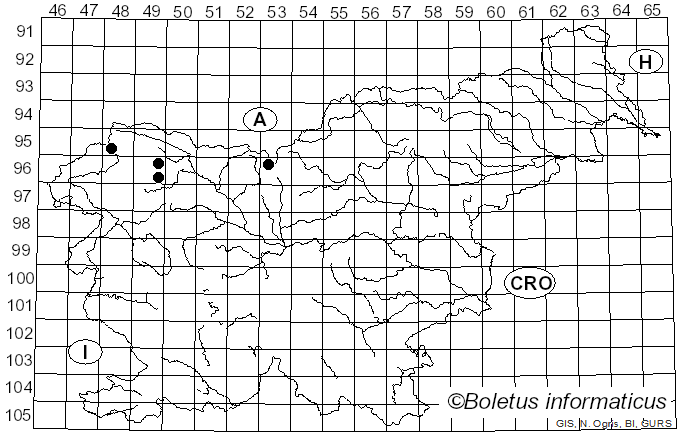<i>Laetiporus montanus</i> Černý ex Tomšovský & Jankovský (2009)