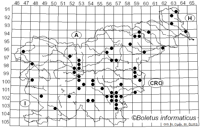 <i>Leccinum vulpinum</i> Watling (1961)