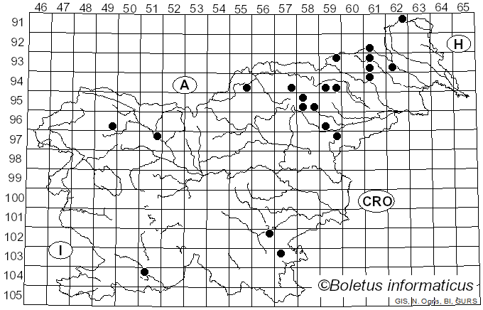 <i>Postia ptychogaster</i> (F. Ludw.) Vesterh. (1996)