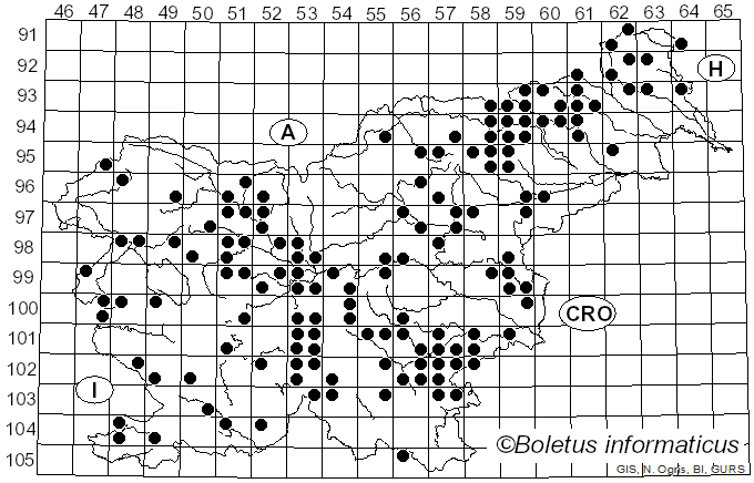 <i>Tricholoma ustale</i> (Fr.) P. Kumm. (1871)