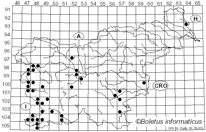 <i>Clathrus ruber</i> P. Micheli ex Pers. (1801)