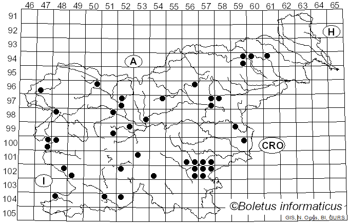 <i>Calonarius splendens</i> (Rob. Henry) Niskanen & Liimat. (2022)