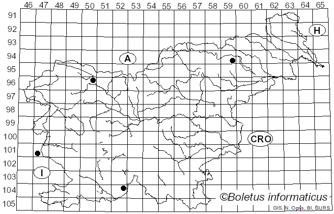 <i>Arcyria nutans</i> (Bull.) Grev. (1824)