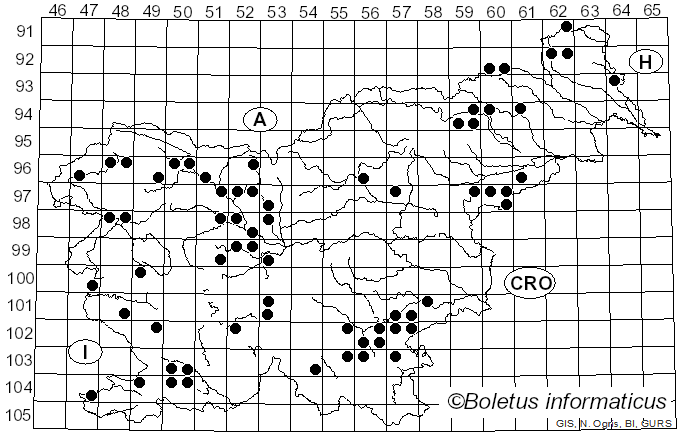 <i>Phlebia</i> Fr. (1821)