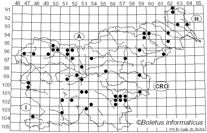 <i>Clitocybe fragrans</i> Sowerby (1821)