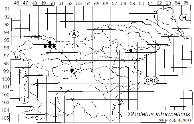 <i>Tubulicrinis</i> Donk (1956)