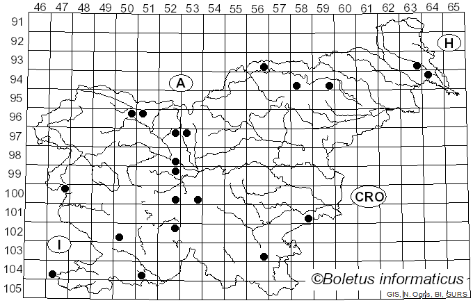 <i>Phyllactinia guttata</i> (Wallr.) Lév. (1851)