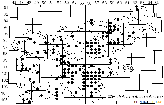 <i>Rubroboletus rhodoxanthus</i> (Krombh.) Kuan Zhao & Zhu L. Yang (2014)