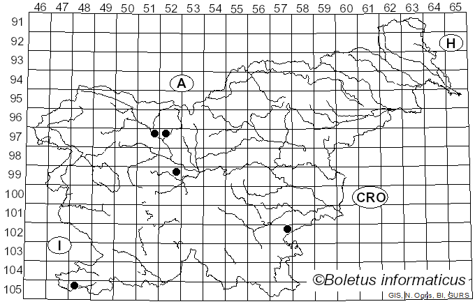 <i>Ramariopsis kunzei</i> (Fr.) Corner (1950)