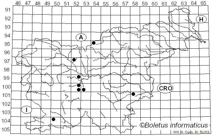 <i>Chalcosyrphus</i>