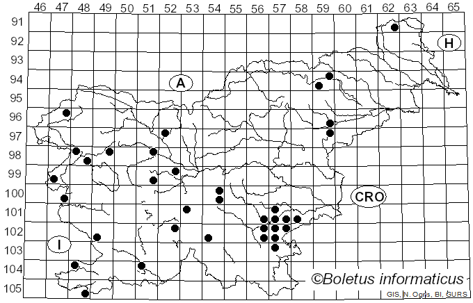 <i>Phlegmacium olidum</i> (J.E. Lange) M.M. Moser (1953)