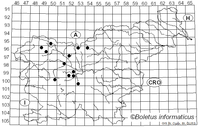 <i>Melanogaster</i> Rondani, 1857